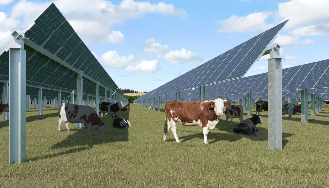 Design sans titre (11)-3