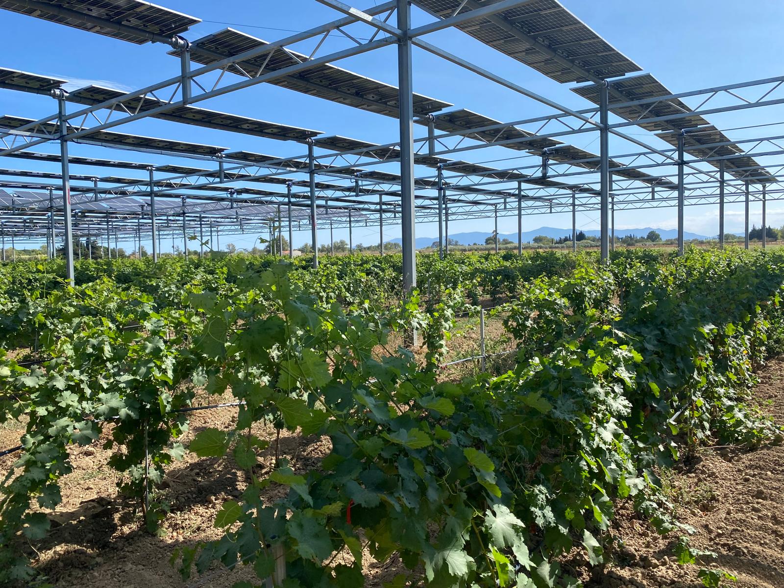 Installation agrivoltaïque de Claira domaine de besombes