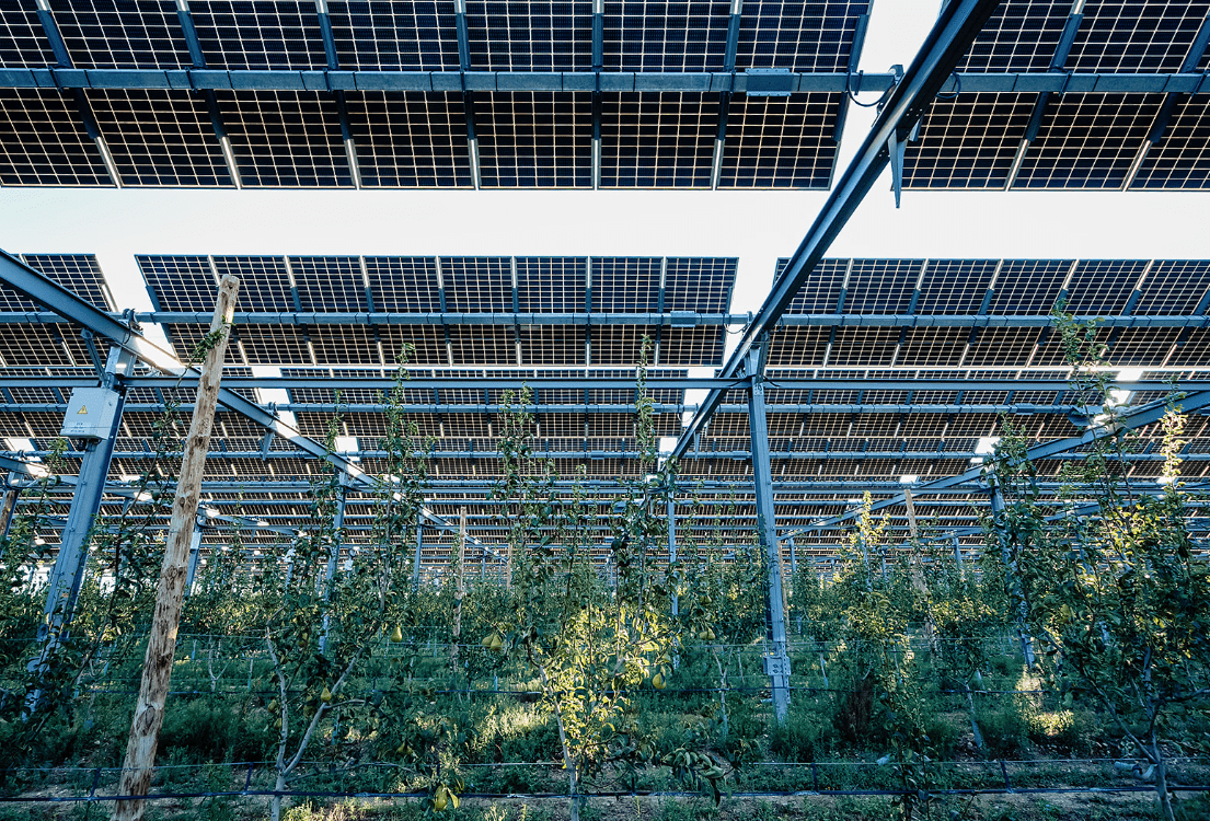 Capture d’écran 2025-07-23 à 11.44.01-min