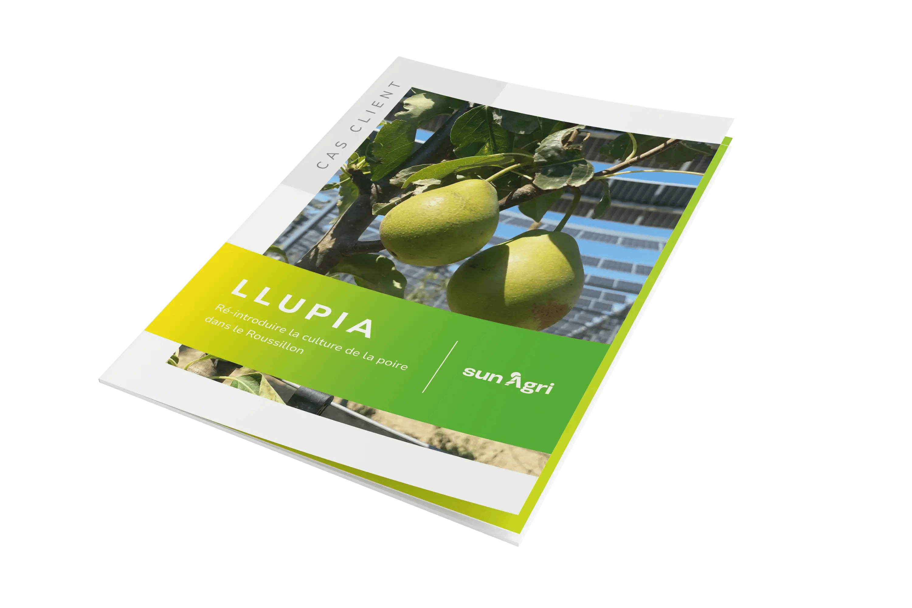 Mockup Cas client Llupia