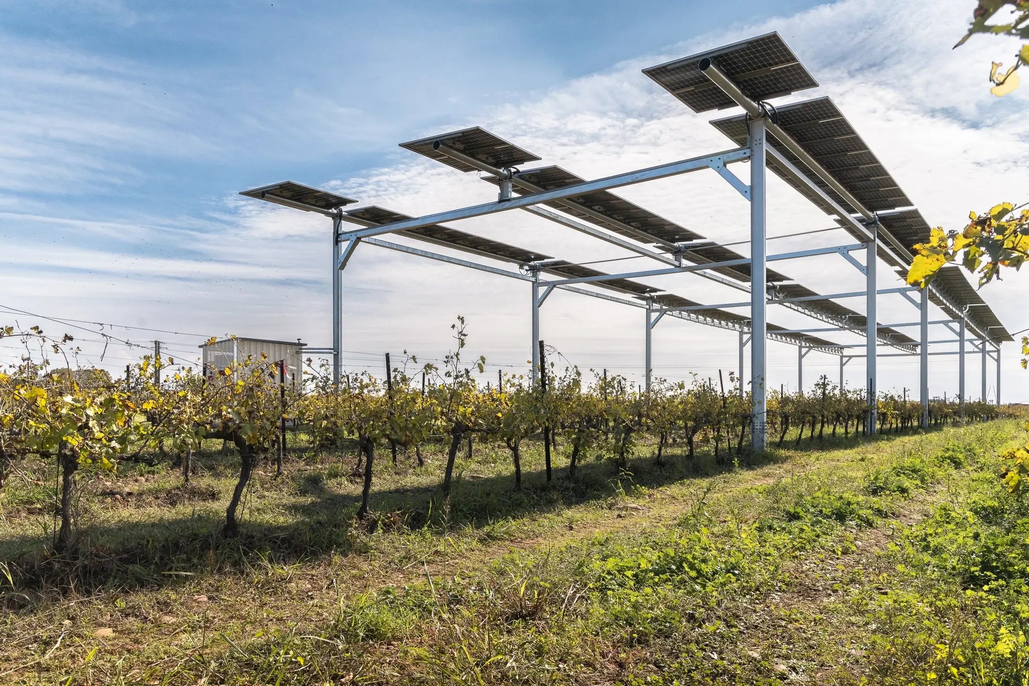 installation-agrivoltaique-rodilhan